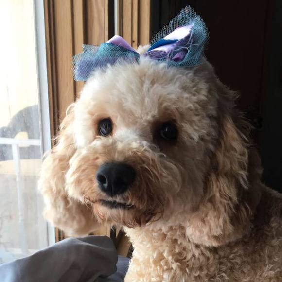 🥰Meet your Posh Ambassador, Kelly🥰 - Picture 1 of 1